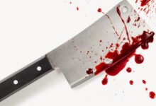 بسبب خلاف بينها أخ بمزق شقيقه بشاطور ويقطيع جثمانه لإخفاء جريمته