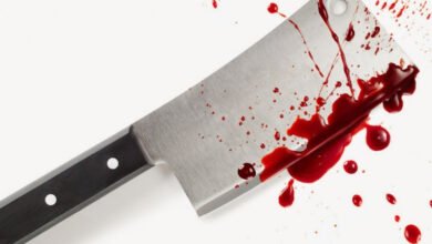 بسبب خلاف بينها أخ بمزق شقيقه بشاطور ويقطيع جثمانه لإخفاء جريمته