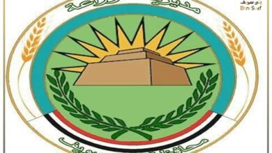 مديرية الزراعة ببني سويف:إزالة 36 تعديًا ومراجعة 266 ألف كارت فلاح وحملات على الأعلاف والمبيدات